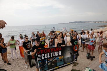 Manifestación antitaurina en Xàbia (8)