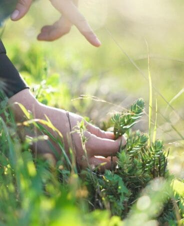 Rutas ambientales dentro del proyecto de Endèmica Natura