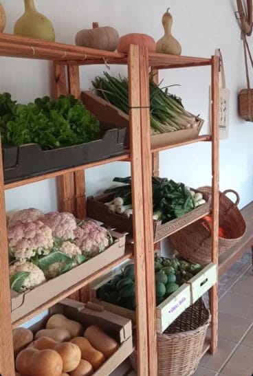 Mercado de los sábados en el Riurau de la Seniola