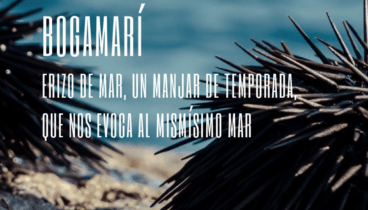 Aprovecha la temporada del erizo de mar y disfruta de este exquisito manjar en Amarre 152