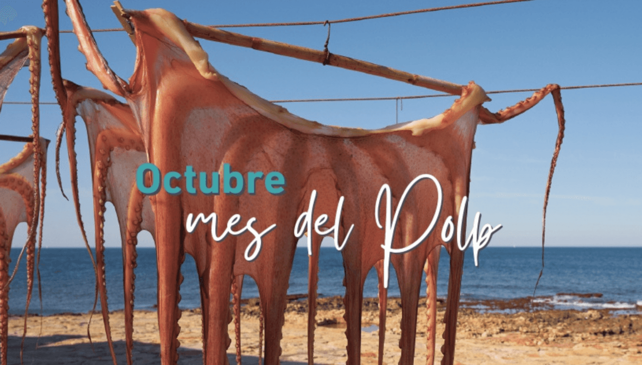 Disfruta del Mes del Pulpo en Tapes Muntanyar