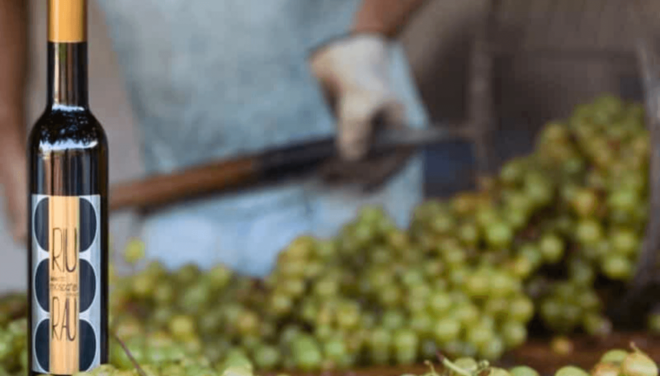 El meticuloso proceso artesanal que da vida a la mistela en Bodegas Xaló