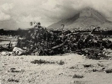 Getreidefelder und Orangenbäume wurden durch starken Regen zerstört