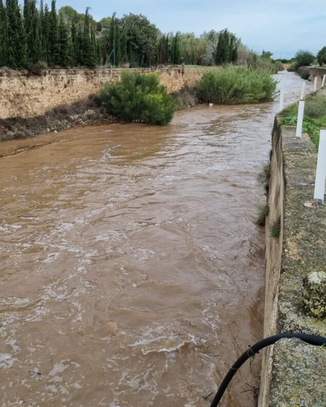 Imagen: Caudal del río Gorgos a su paso por Xàbia