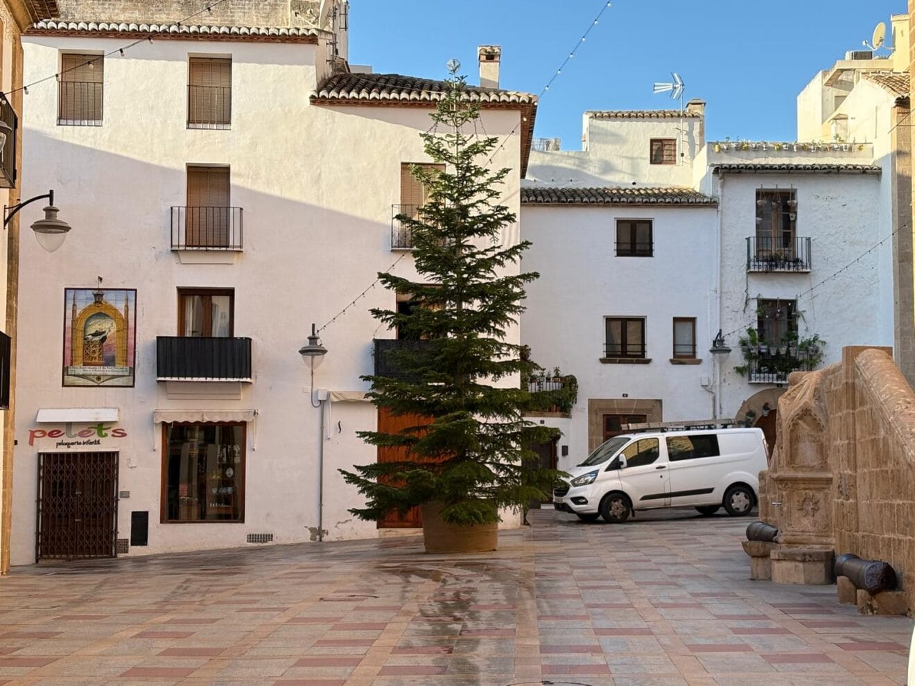 El abeto ya luce en la Plaza de la Iglesia de Xàbia