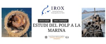 Estudio del IROX sobre el Pulpo de la Marina