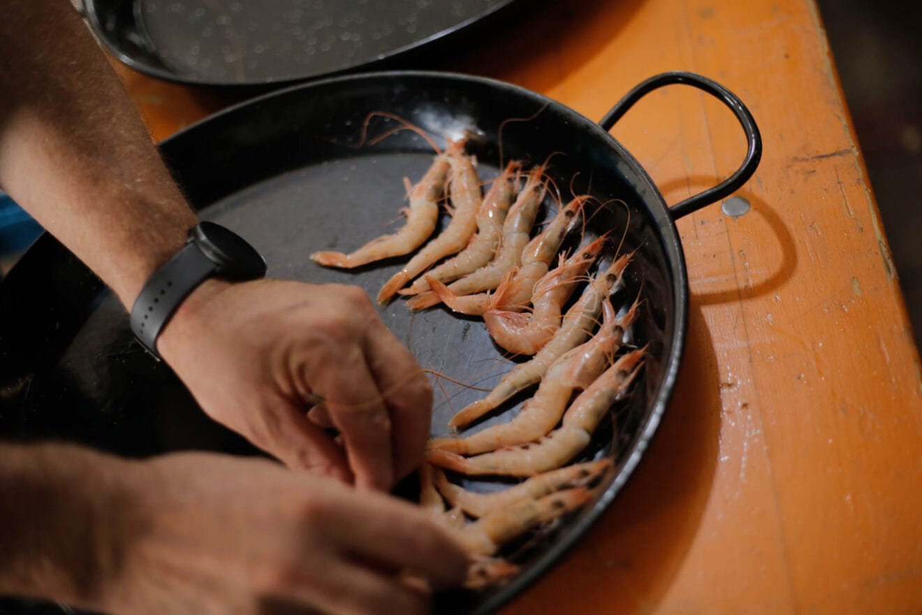 Weiße Garnelen aus Calpe