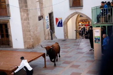 Sesión taurina en las fiestas de Sant Sebastià Xàbia 2025 (1)