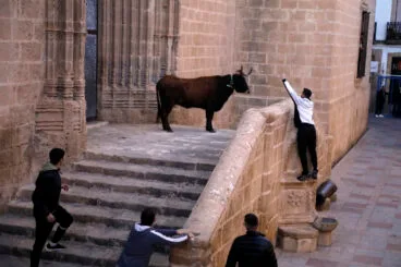 Sesión taurina en las fiestas de Sant Sebastià Xàbia 2025 (10)