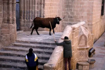Sesión taurina en las fiestas de Sant Sebastià Xàbia 2025 (14)