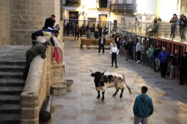 Sesión taurina en las fiestas de Sant Sebastià Xàbia 2025 (19)