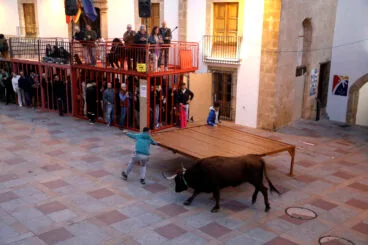 Sesión taurina en las fiestas de Sant Sebastià Xàbia 2025 (3)