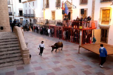 Sesión taurina en las fiestas de Sant Sebastià Xàbia 2025 (5)