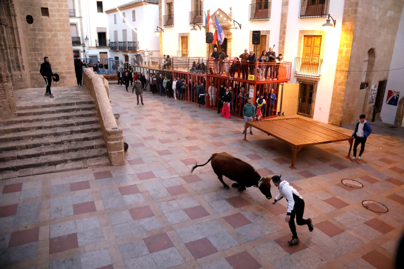 Sesión taurina en las fiestas de Sant Sebastià Xàbia 2025