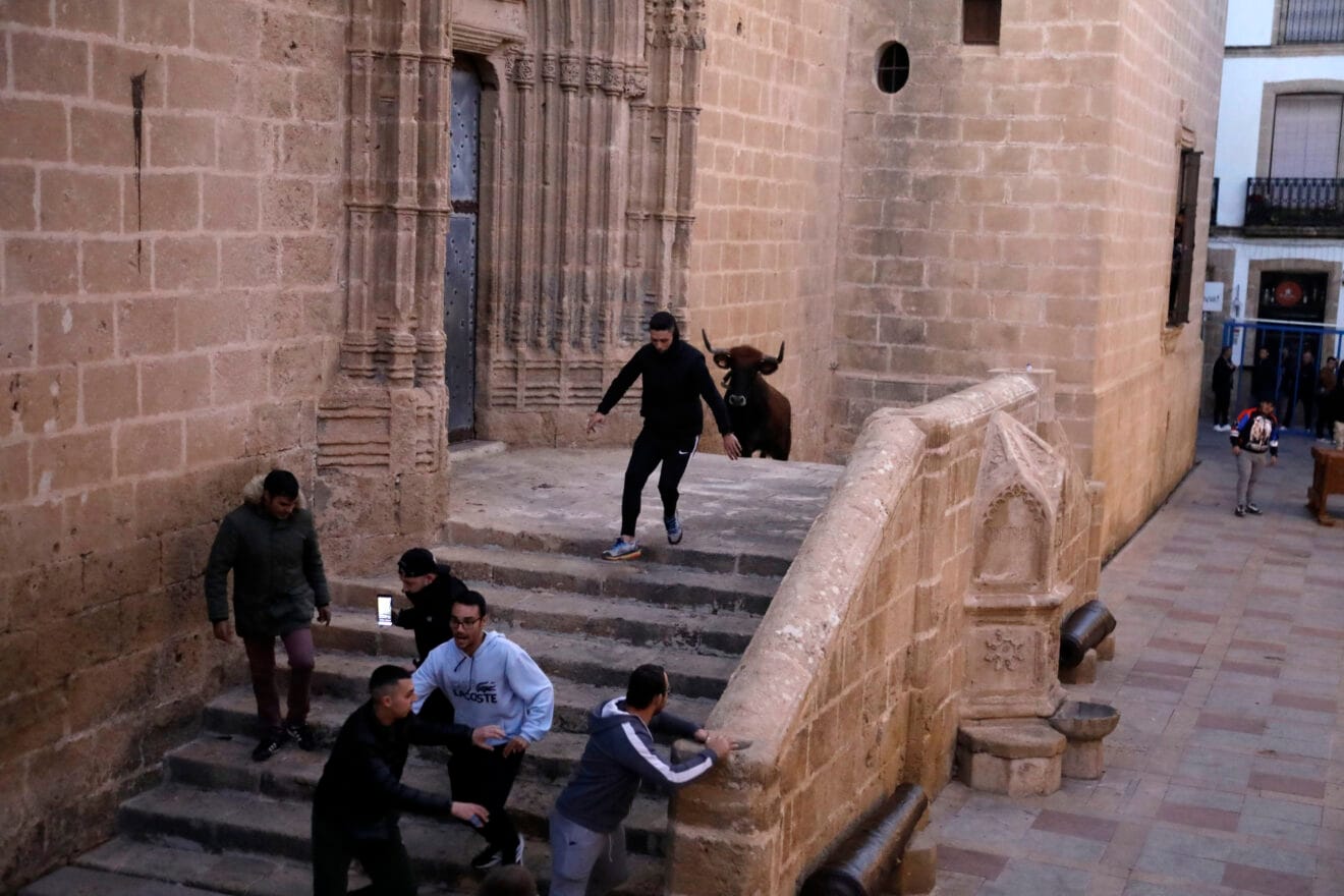 Sesión taurina en las fiestas de Sant Sebastià Xàbia 2025 (9)
