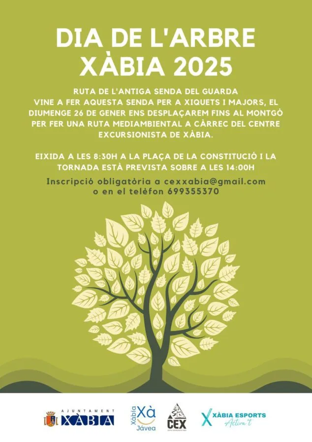 Imagen: Actividad Día del Árbol