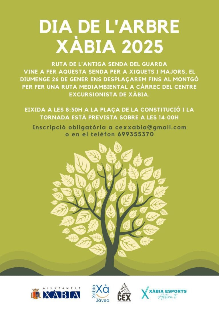 Actividad Día del Árbol