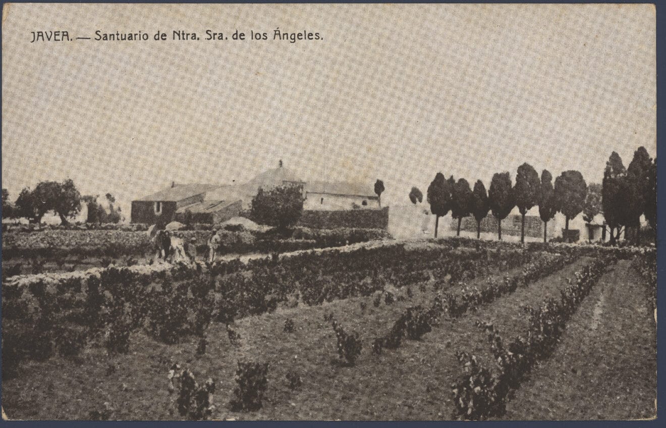 Bancales de la Plana | Foto  Arxiu Municipal de Xàbia