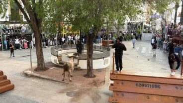 Primera sesión de Bous al carrer en las fiestas del Nazareno 2025 (10)
