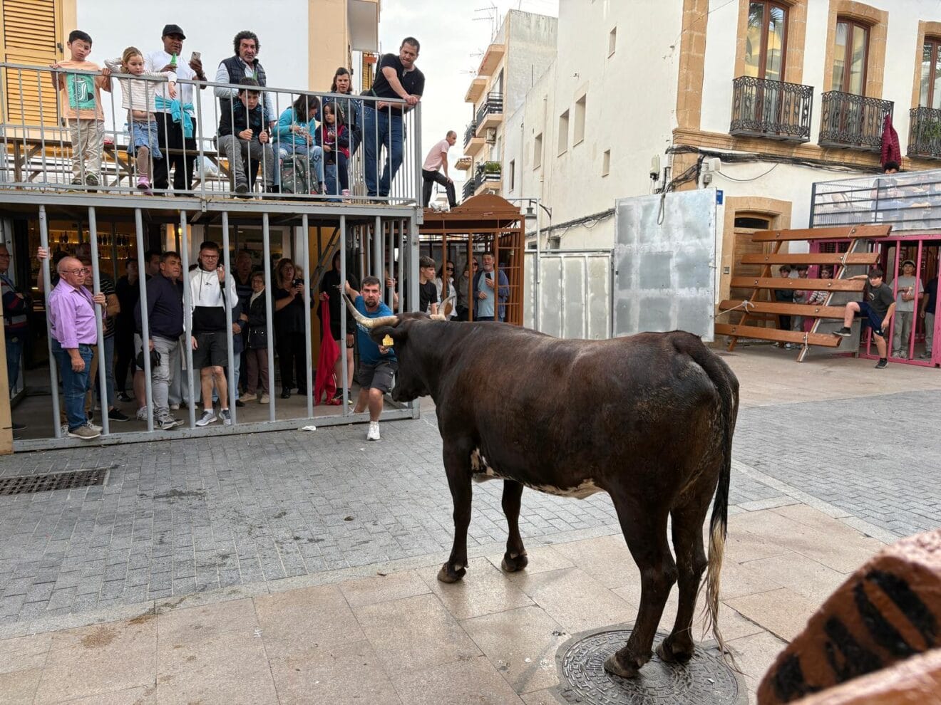 Primera sesión de Bous al carrer en las fiestas del Nazareno 2025 (15)