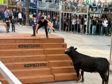 Primera sesión de Bous al carrer en las fiestas del Nazareno 2025 (17)