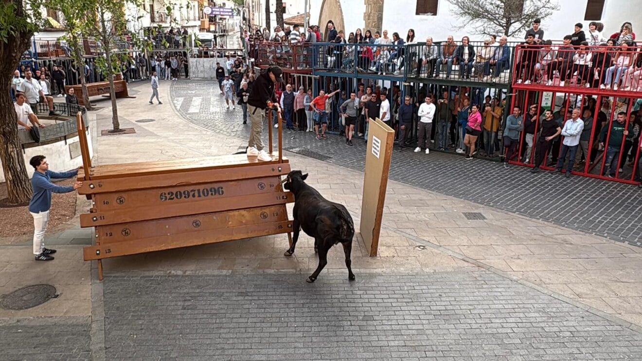 Primera sesión de Bous al carrer en las fiestas del Nazareno 2025 (2)
