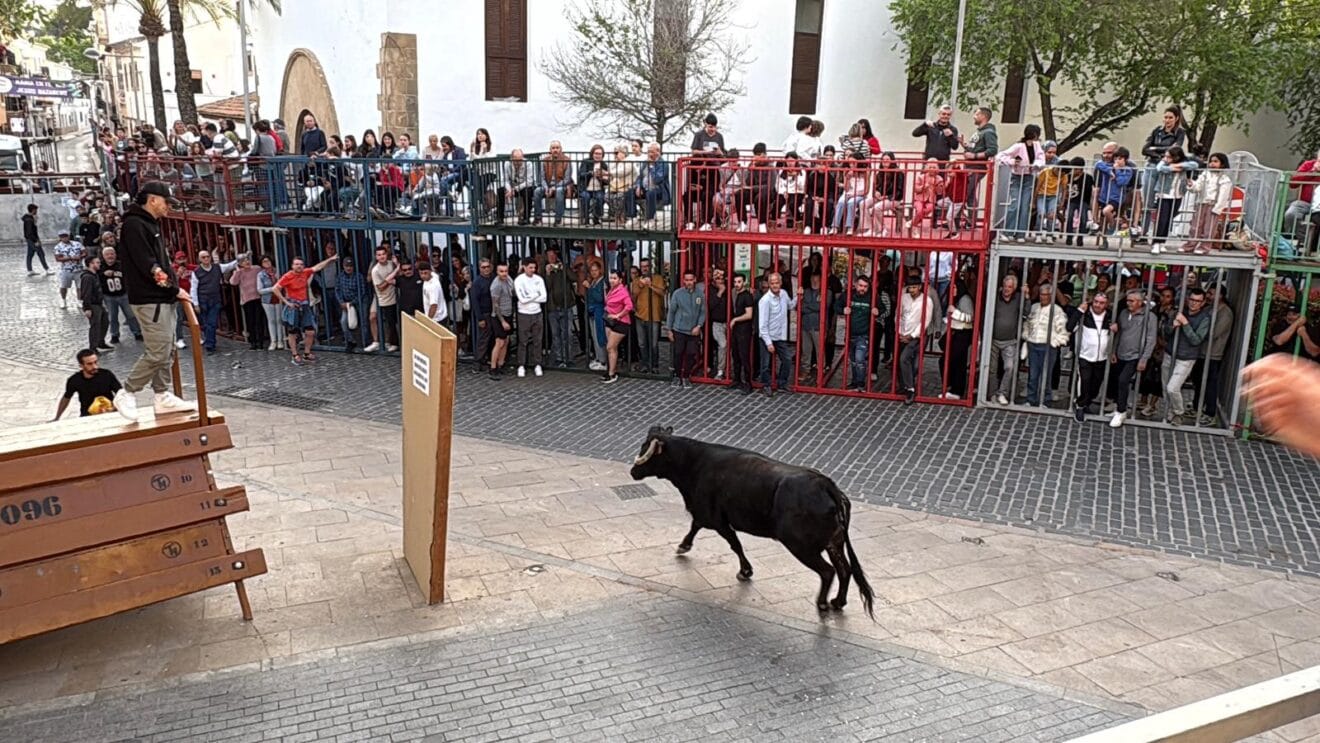Primera sesión de Bous al carrer en las fiestas del Nazareno 2025 (3)