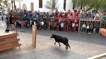 Primera sesión de Bous al carrer en las fiestas del Nazareno 2025 (3)