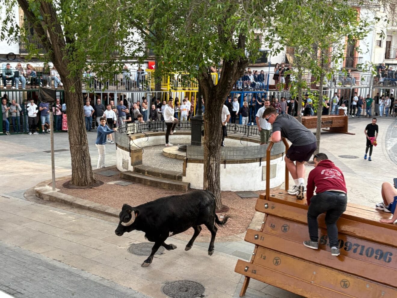 Primera sesión de Bous al carrer en las fiestas del Nazareno 2025 (34)