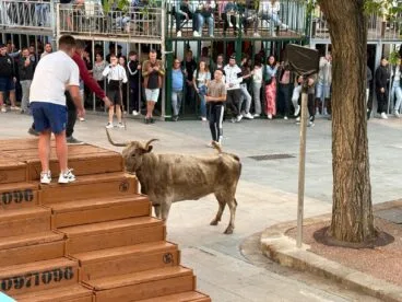 Primera sesión de Bous al carrer en las fiestas del Nazareno 2025 (6)