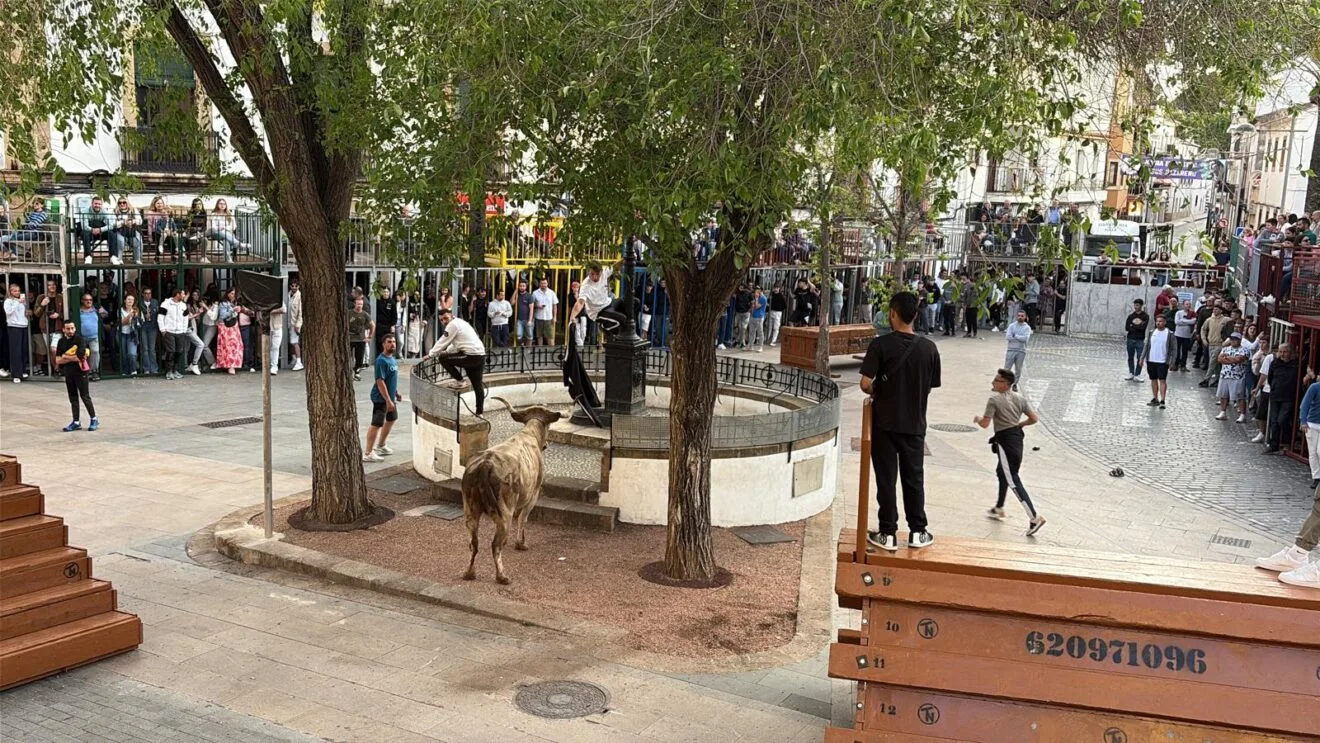 Primera sesión de Bous al carrer en las fiestas del Nazareno 2025 (9)