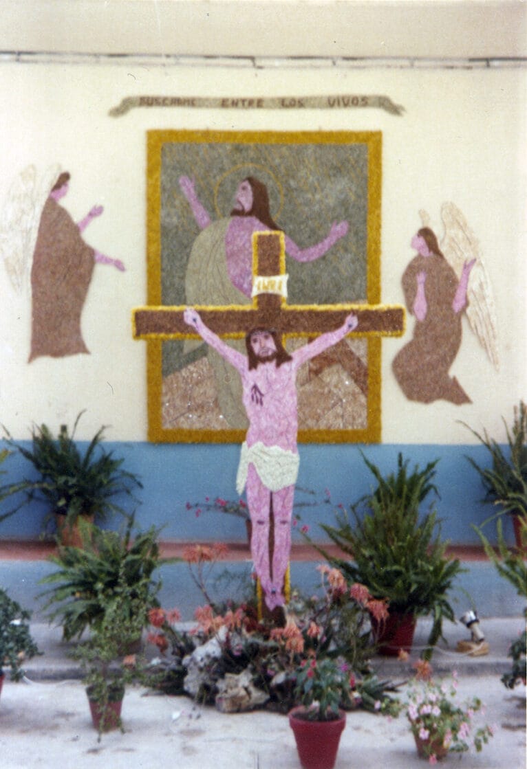 1981 - 8ª Cruz. Búscame entre los vivos
