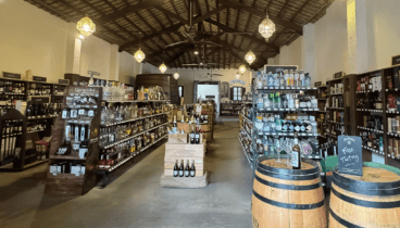 3.000 razones para brindar_ vinos para todos los gustos