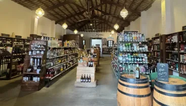 3.000 razones para brindar_ vinos para todos los gustos