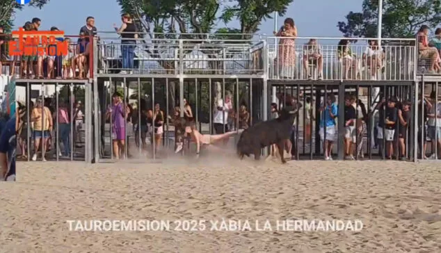 Imagen: Cogida en los toros de Xàbia