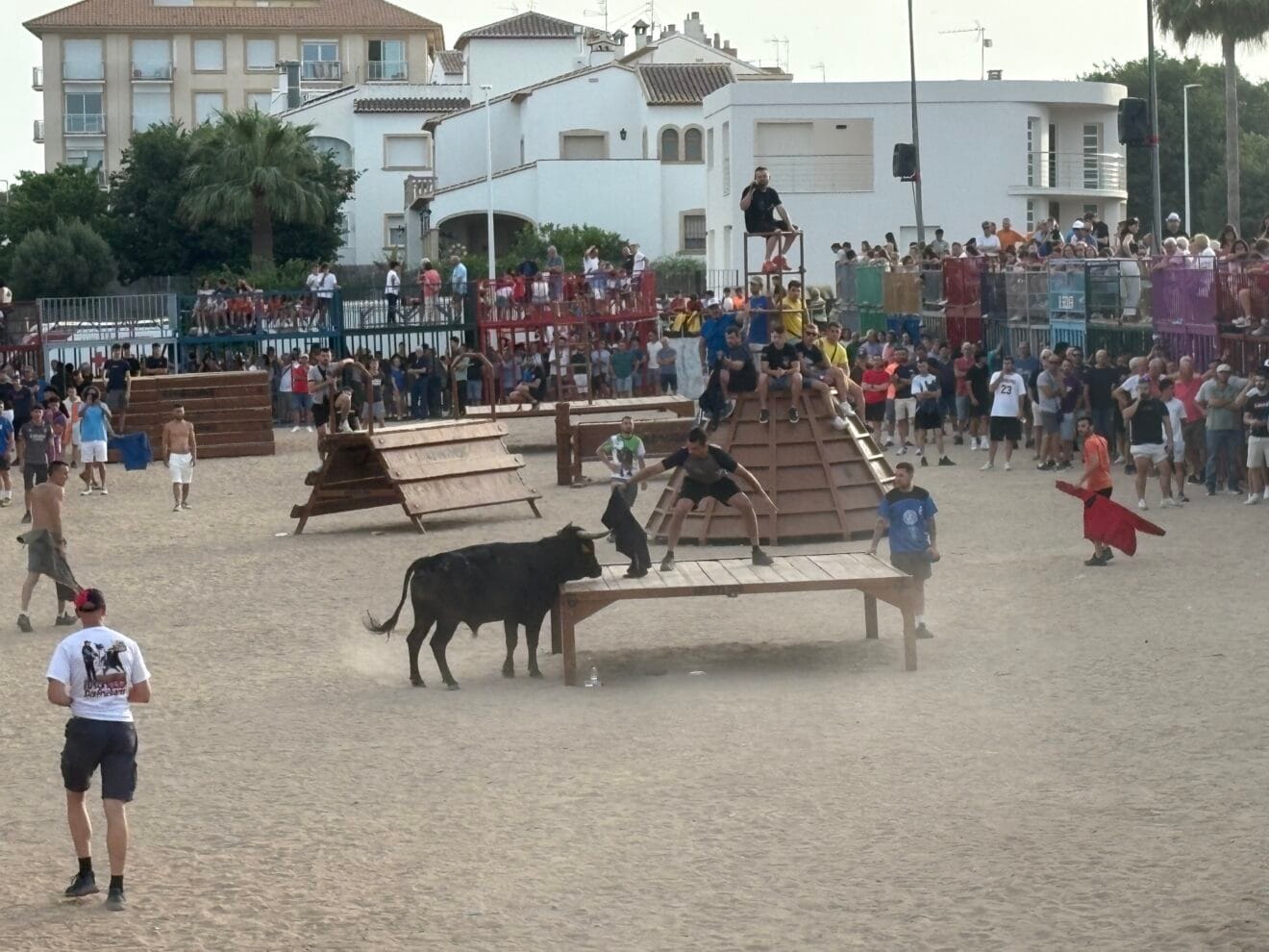 Bous al carrer en Fogueres de Sant Joan Xàbia 2025