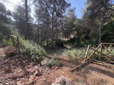 Sendero de la zona forestal a falta de adecuación