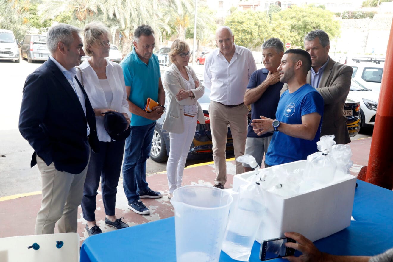 Autoridades en la suelta de fauna marina