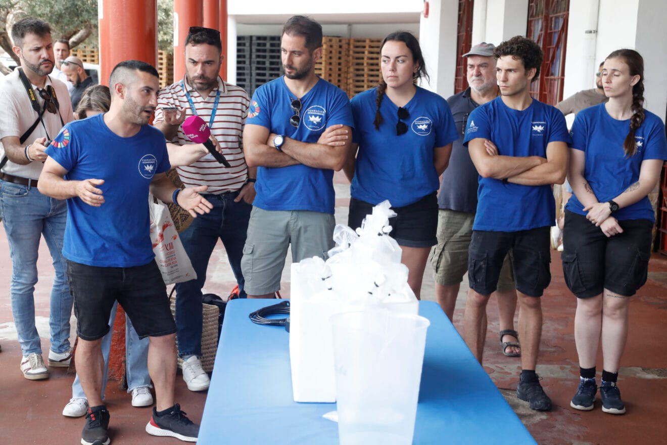 Suelta de especies marinas en Xàbia