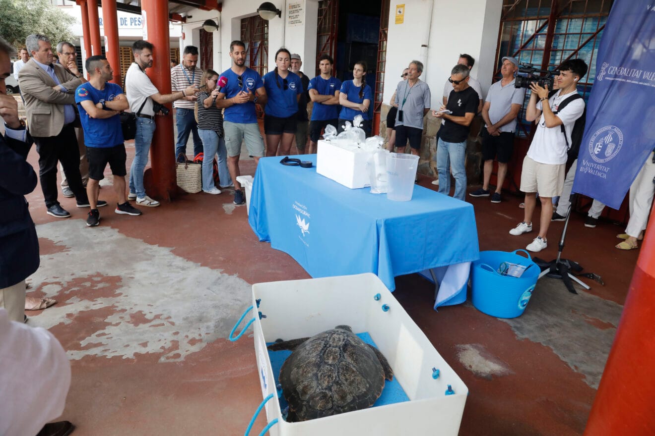 Suelta de especies marinas en Xàbia