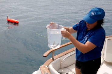 Suelta de especies marinas en Xàbia