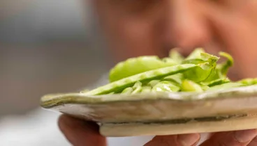 Ingredientes frescos para cada plato