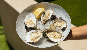 Mariscos frescos tratados con sencillez y respeto en la cocina de Aticcook