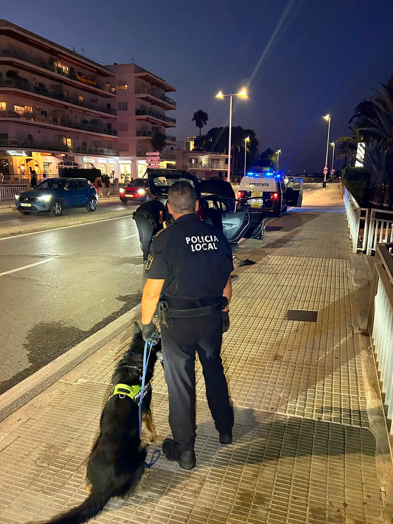 Policía Local de Xàbia y el agente canino Kosmo
