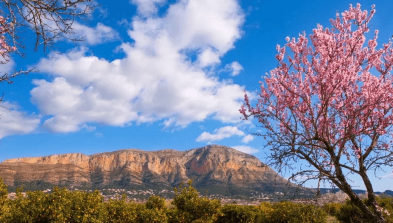 Vistas al Montgó