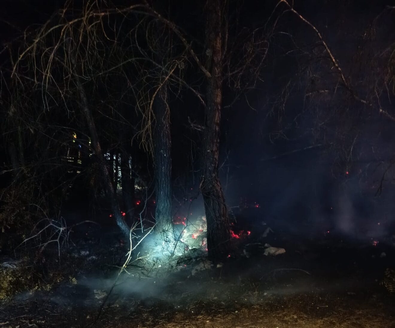 Incendio en una pinada de Xàbia