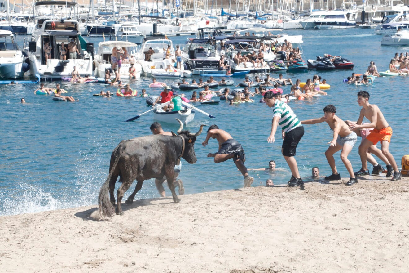 Ambiente en el Bous a la Mar Xàbia 2025 (6)