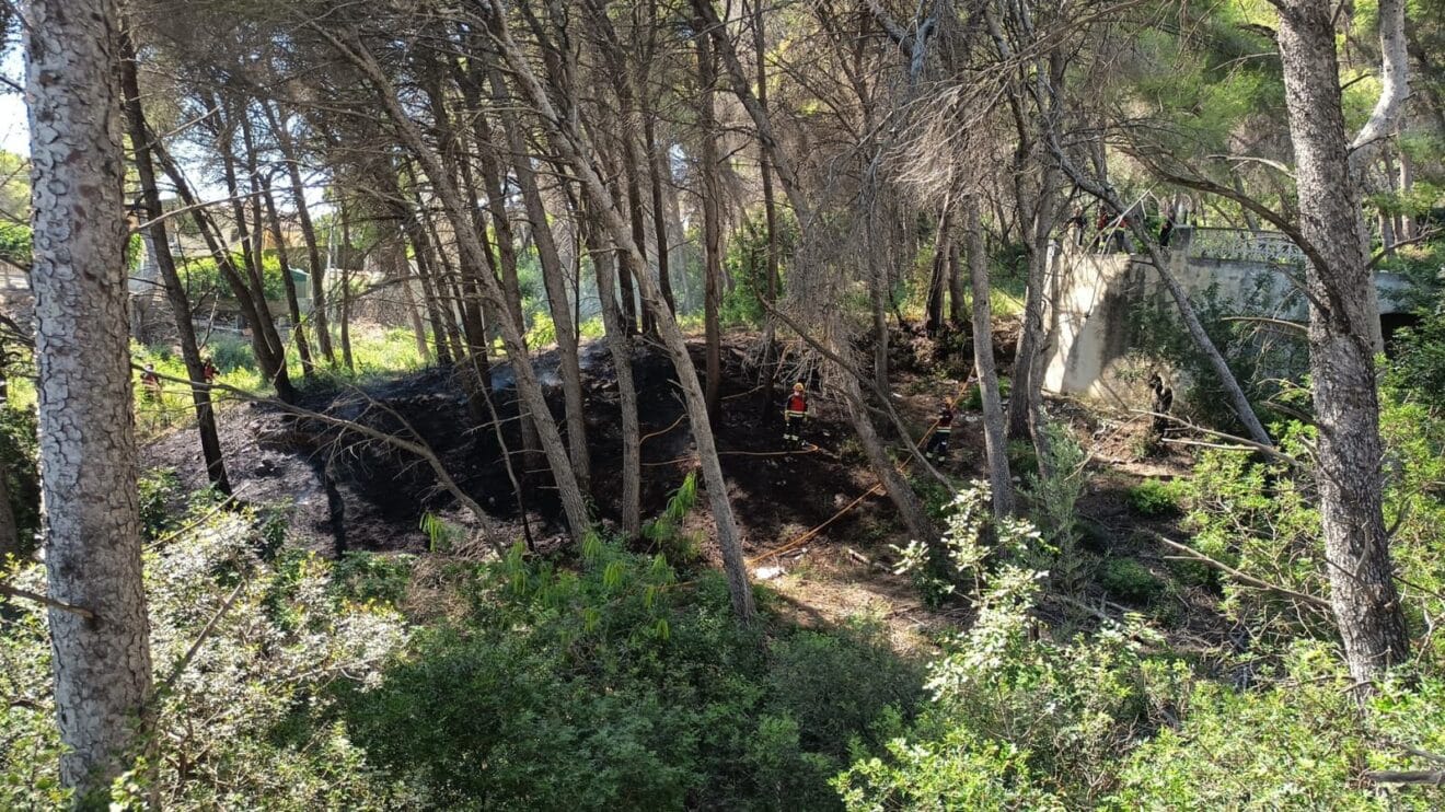 Incendio en la falda del Montgó de Xàbia