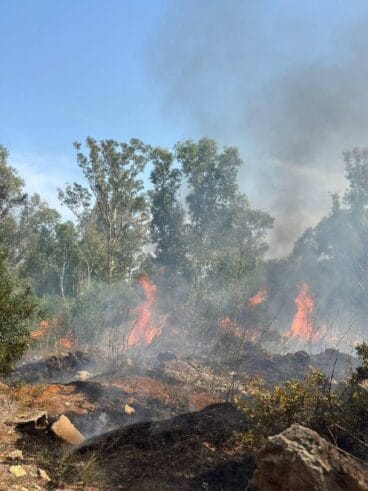 Incendio en una parcela del Saladar de Xàbia