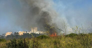 Incendio en una parcela del Saladar de Xàbia-